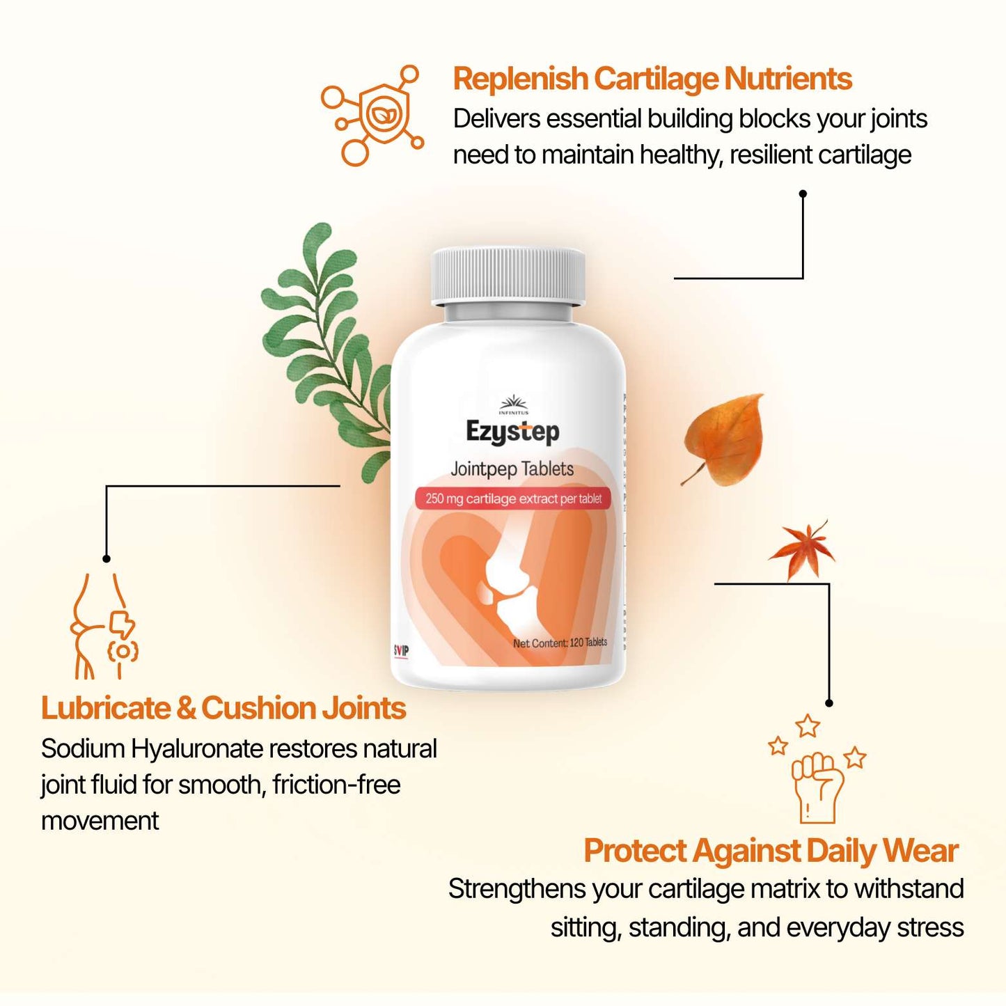 Step Confidently Through Every Active Day